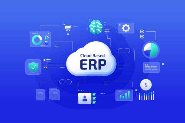 Custom ERP System